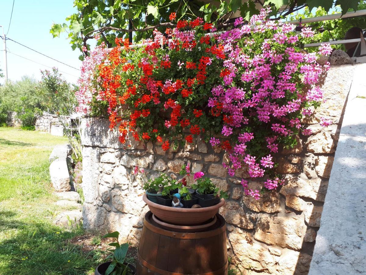 Apartments Sabina I Grapes Malinska Luaran gambar